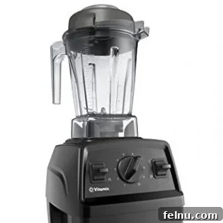 Vitamix E310 Explorian Blender, Professional-Grade