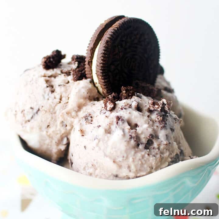Vegan Cookies and Cream Ice Cream Bliss 7 Dairy-free cookies and cream ice cream in a bowl.