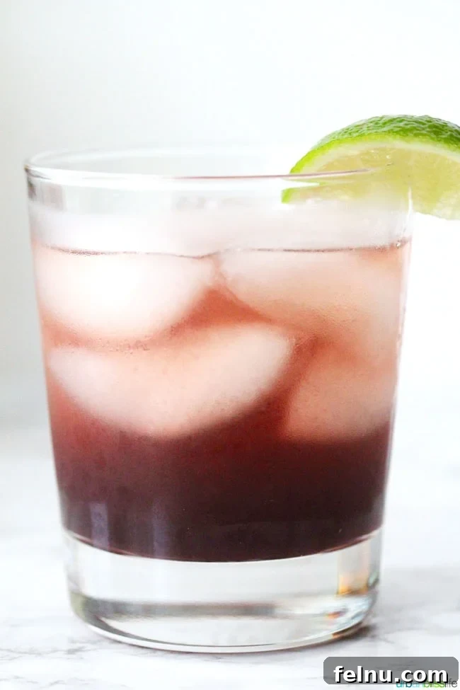 Hibiscus Bliss: A Refreshing Cocktail 7 Hibiscus Cocktail Cooler solo