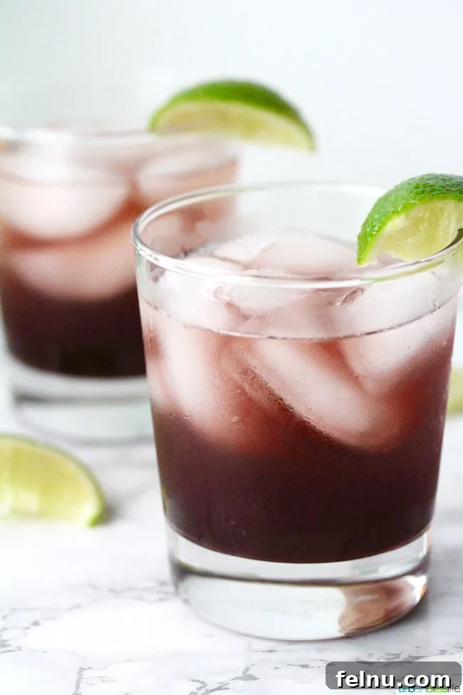 Hibiscus Cooler recipe