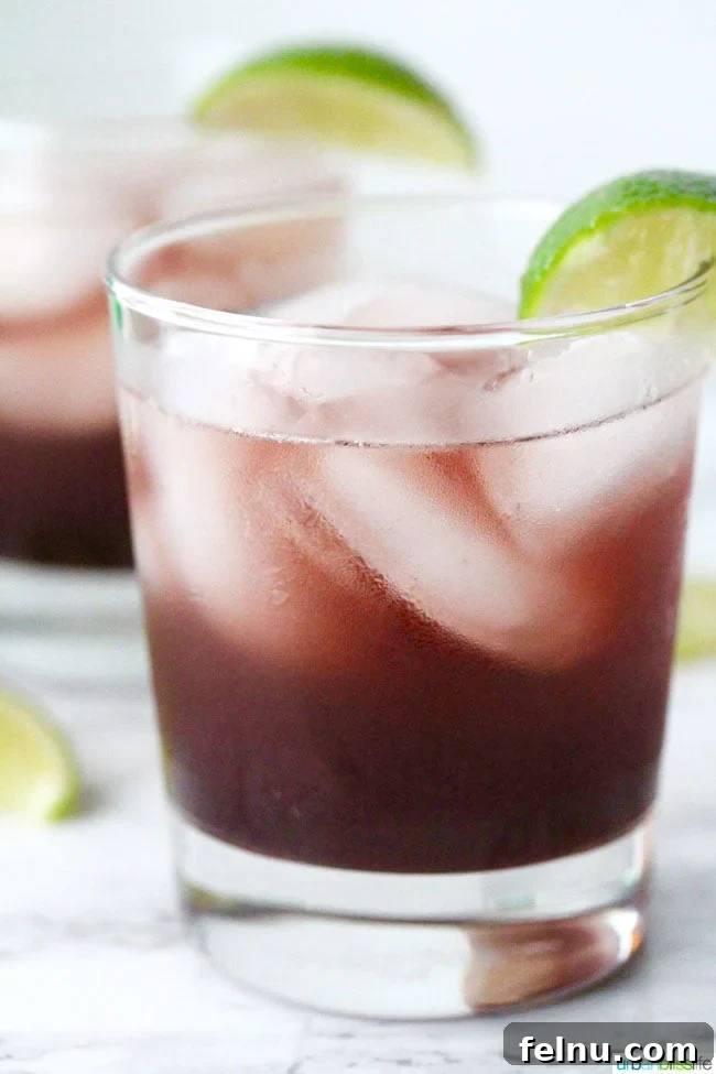 Hibiscus Bliss: A Refreshing Cocktail 9 Hibiscus Cooler recipe