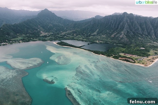 Oahu Helicopter Tour: Doors-Off Thrills and Breathtaking Views 16 Majestic Mountains: An Oahu Helicopter Tour Adventure