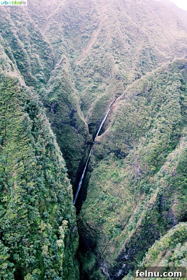 Oahu Helicopter Tour: Doors-Off Thrills and Breathtaking Views 22 Sacred Falls: A Waterfall Oasis Seen on an Oahu Helicopter Tour
