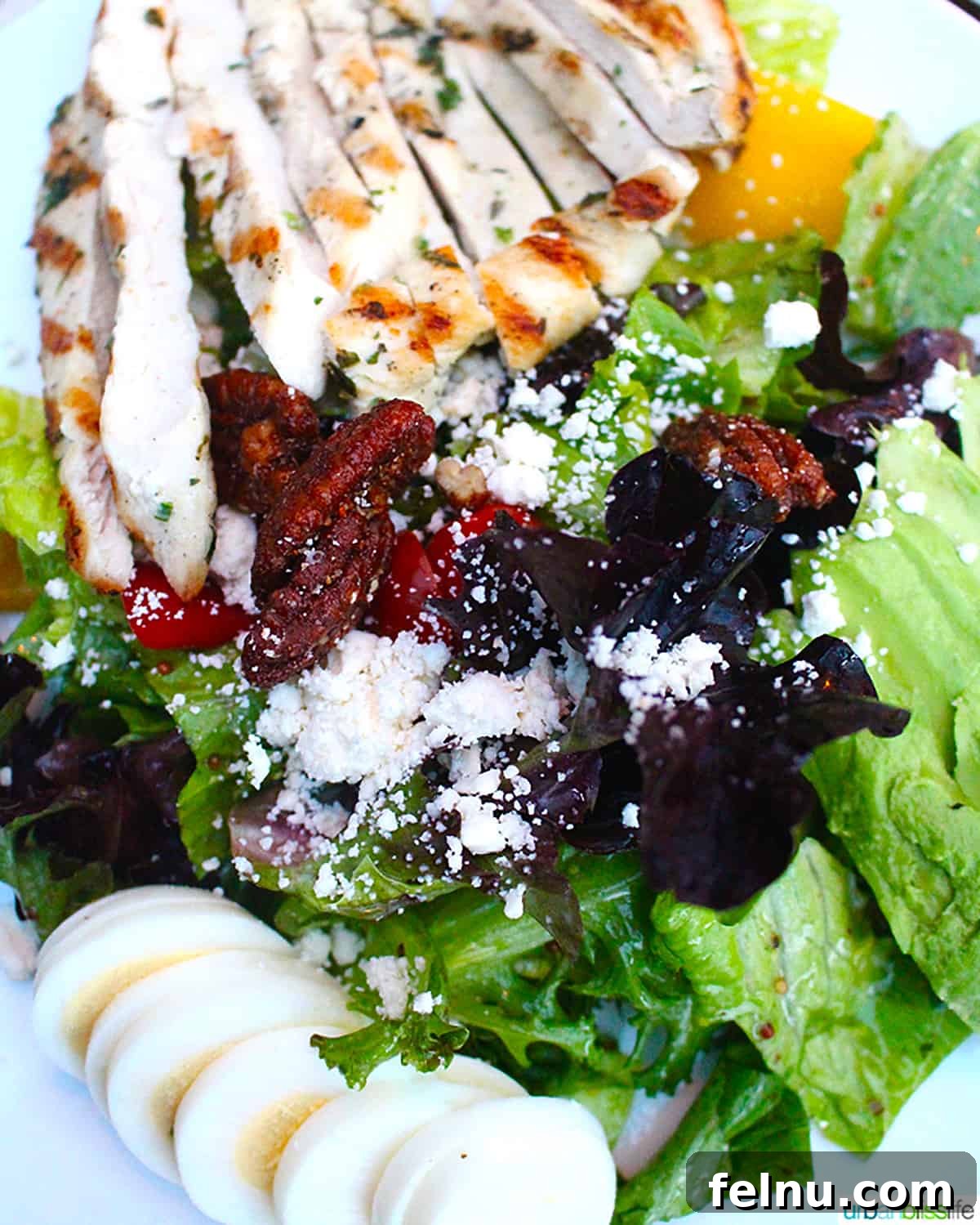 Vancouver BC's Cactus Club Cafe 13 cobb salad at Cactus Club Cafe Coal Harbour Vancouver BC.