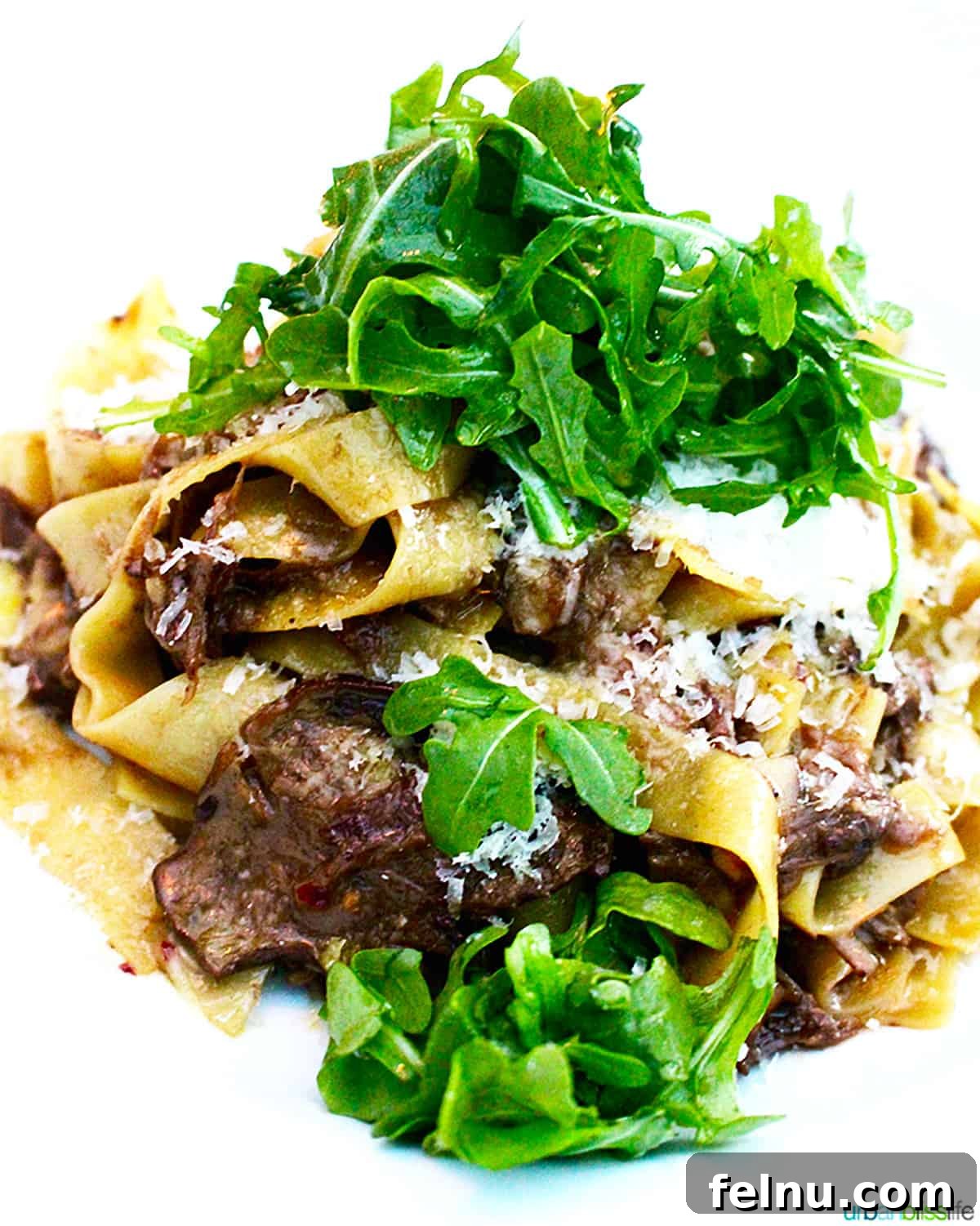 Vancouver BC's Cactus Club Cafe 14 tagliatelle pasta with steak at at Cactus Club Cafe Coal Harbour Vancouver BC.