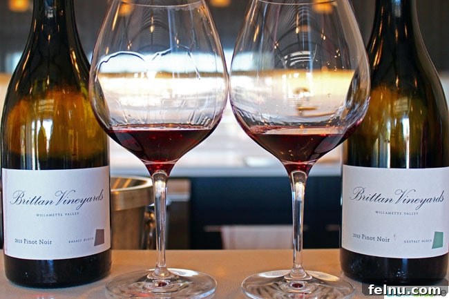 Sip and Stroll McMinnville 7 A bottle of Brittan Vineyards Pinot Noir, a complex and rich red wine.