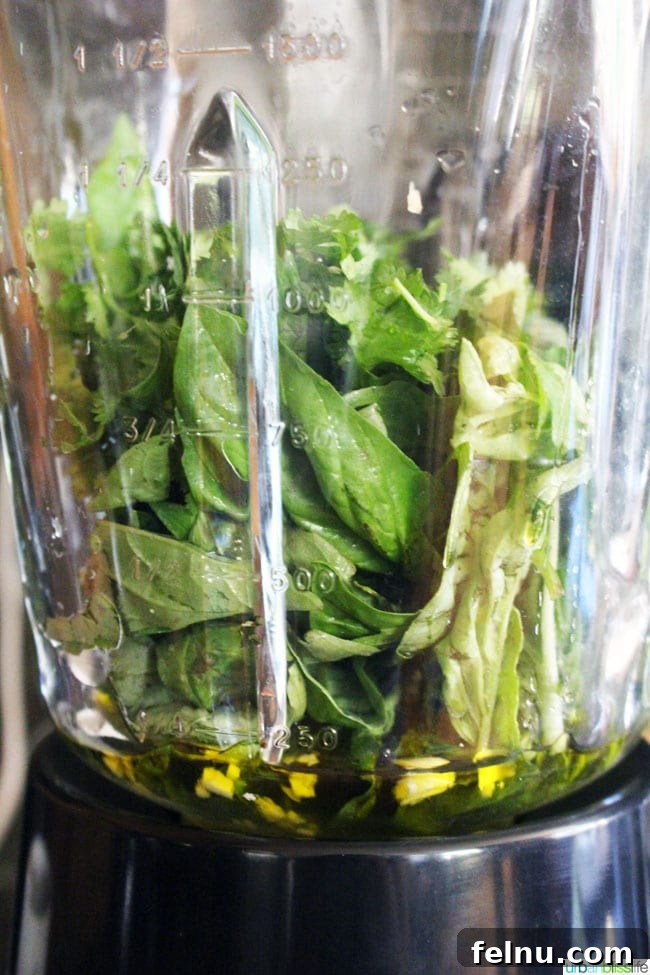 Creamy Avocado Pesto 6 ingredients to make pesto in a blender.