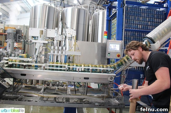 Yakima Breweries: Hop-Centric Haven 7 Bottling at Bale Breaker Brewery