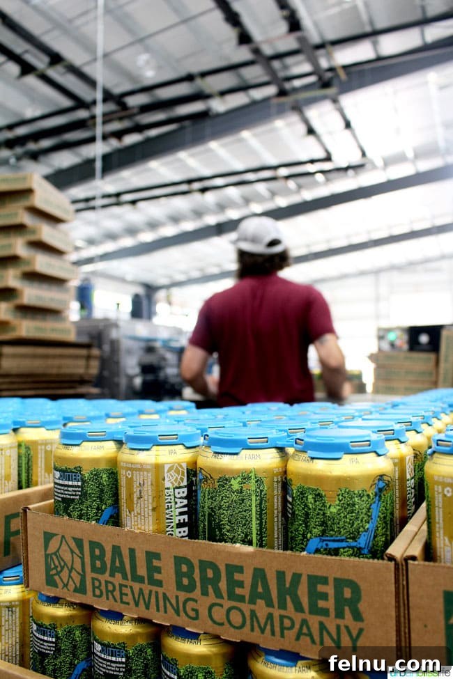 Yakima Breweries: Hop-Centric Haven 10 Bottled Bale Breaker Beer