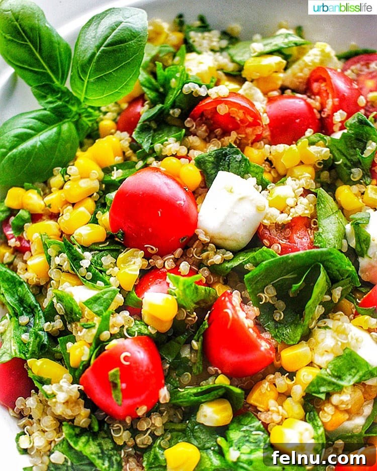 Quinoa Caprese Salad with Sweet Corn 4 Summer Corn & Quinoa Caprese Salad closeup