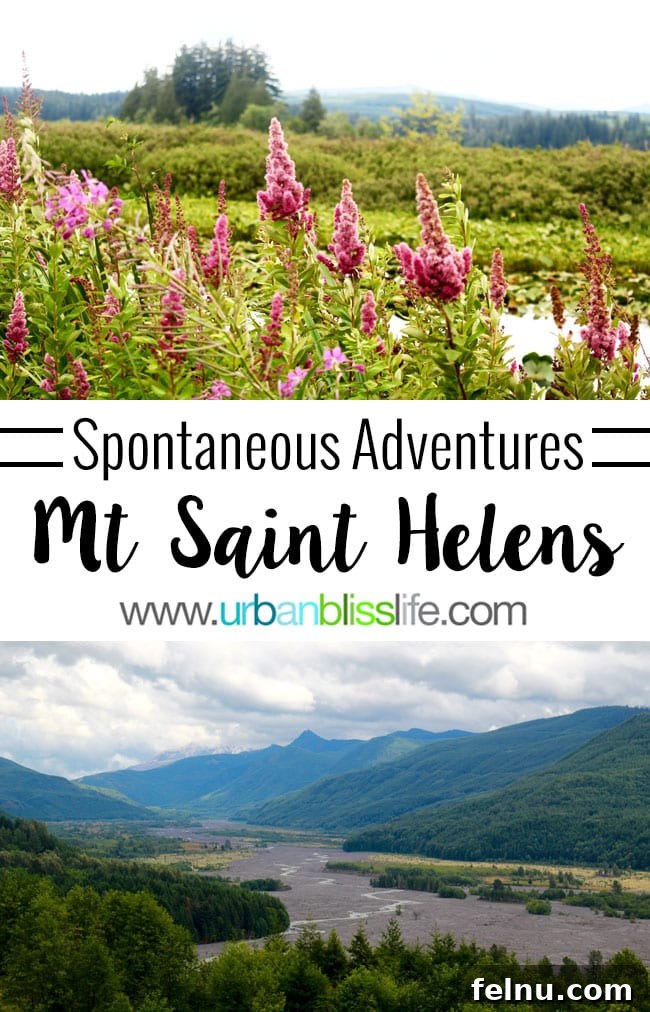 Mount Saint Helens Adventure: Embracing Spontaneity