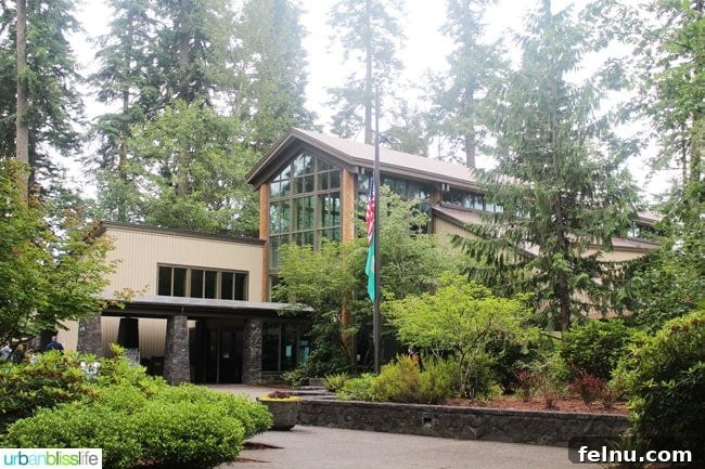 Mount Saint Helens Information Center: The Starting Point of Our Adventure