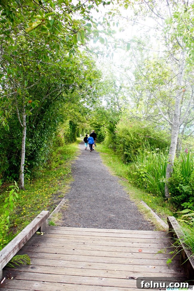 Family Hike at Mount Saint Helens: Creating Memories