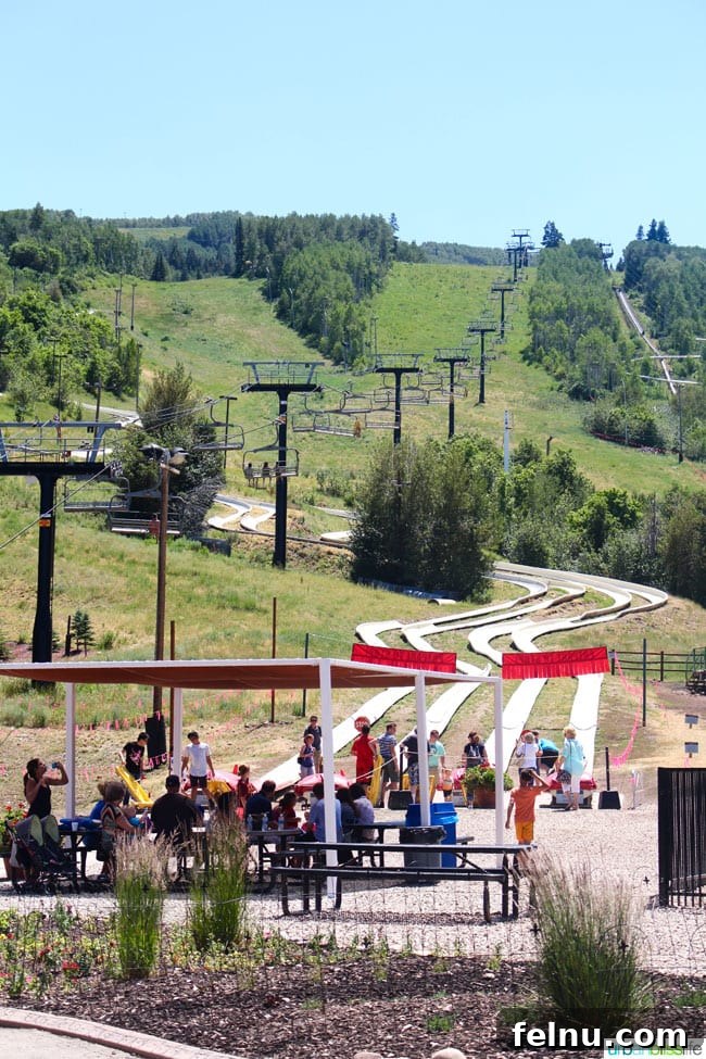 Park City: Your Ultimate Summer Playground 11 Alpine Slide: A thrilling ride down Park City Mountain.