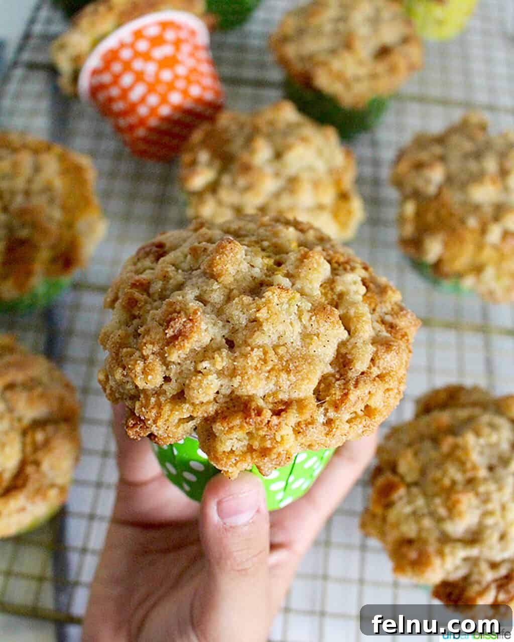 Cinnamon Apple Crumble Muffins 3 A hand holding a warm, freshly baked cinnamon streusel muffin.