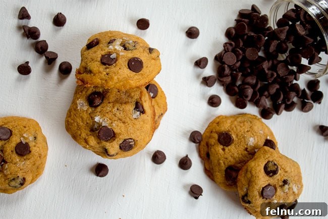 salted-pumpkin-chocolate-chip-cookies