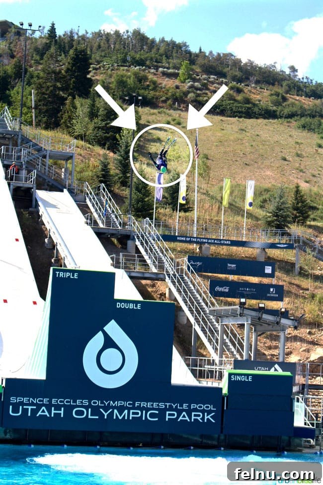 Utah Olympic Park: A Family Adventure of a Lifetime 5 Utah Olympic Park Freestyle Pool 2