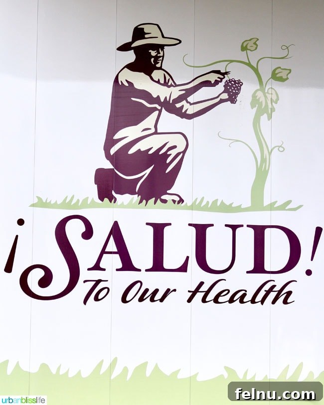 Salud Wine Auction features top Oregon wines - UrbanBlissLife.com
