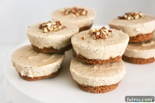 Nutty Vegan Cheesecake is a satisfying frozen dessert! Recipe on UrbanBlissLife.com