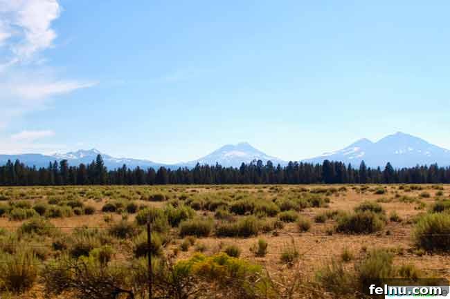 Sisters Saloon, Oregon: A Taste of the Wild West 4 Scenic view of the Three Sisters Mountains in Oregon