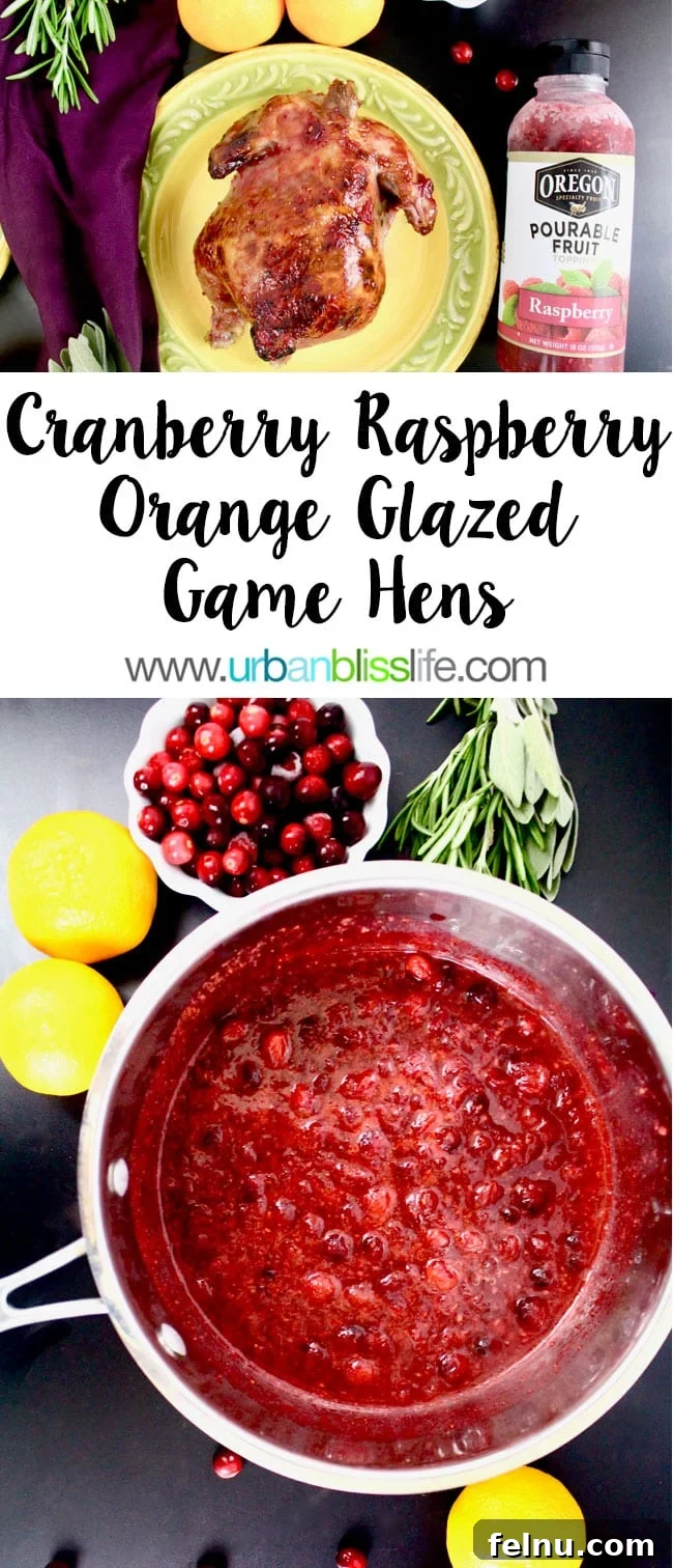 Cranberry-Raspberry-Orange Glazed Cornish Hens A Festive Trio: Cranberry, Raspberry, and Orange Glazed Cornish Hens 6 Pin this Cranberry Raspberry Orange Glaze Game Hens recipe!