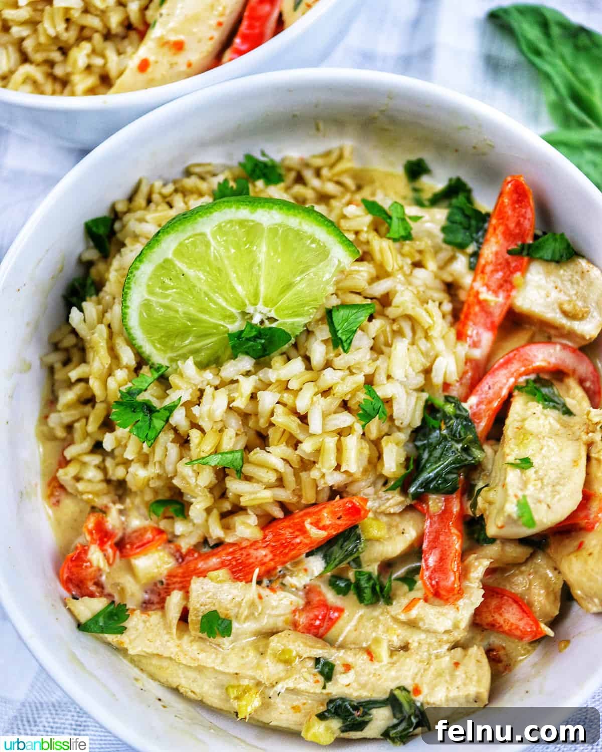 Tropical Coconut Lime Chicken 2 A vibrant bowl of Thai coconut lime chicken, garnished with bright red bell pepper slices and fresh lime wedges, served over fluffy white rice.