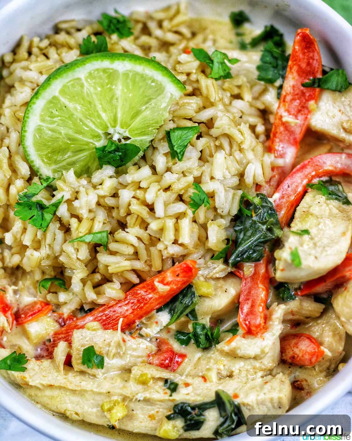 Tropical Coconut Lime Chicken 3 Close-up shot of Thai coconut lime chicken, showcasing tender chicken pieces, vibrant red bell peppers, and fresh lime slices, all nestled in a creamy coconut sauce.
