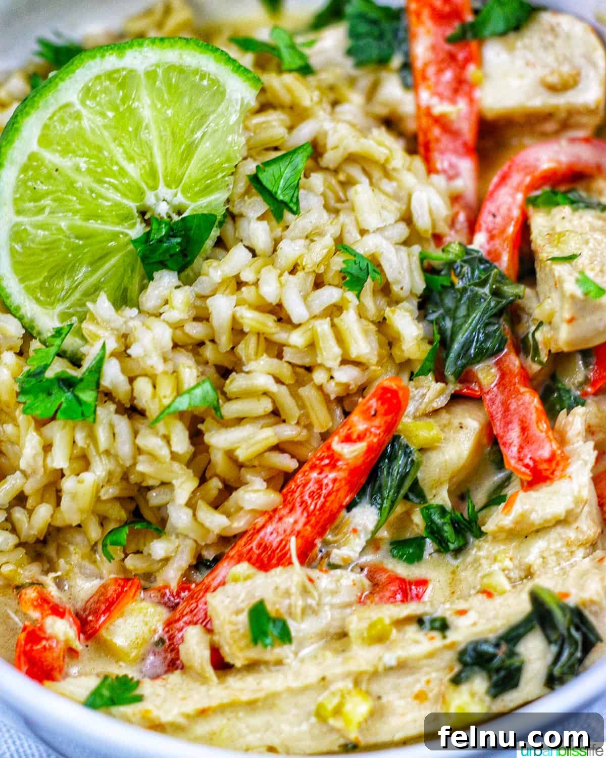 Tropical Coconut Lime Chicken 7 A beautifully plated bowl of Thai coconut lime chicken with vibrant red bell peppers and fresh lime, ready to be enjoyed.