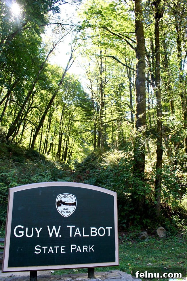 Latourell Falls Loop: Columbia Gorge Waterfall Jewel 3 Lower Latourell Falls, a stunning Oregon waterfall in Guy Talbot State Park with lush greenery