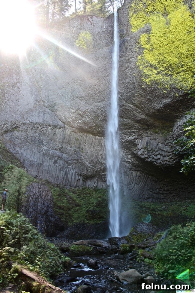 Latourell Falls Loop: Columbia Gorge Waterfall Jewel 4 Visitors enjoying the view of Latourell Falls, Columbia Gorge, from the base of the lower falls