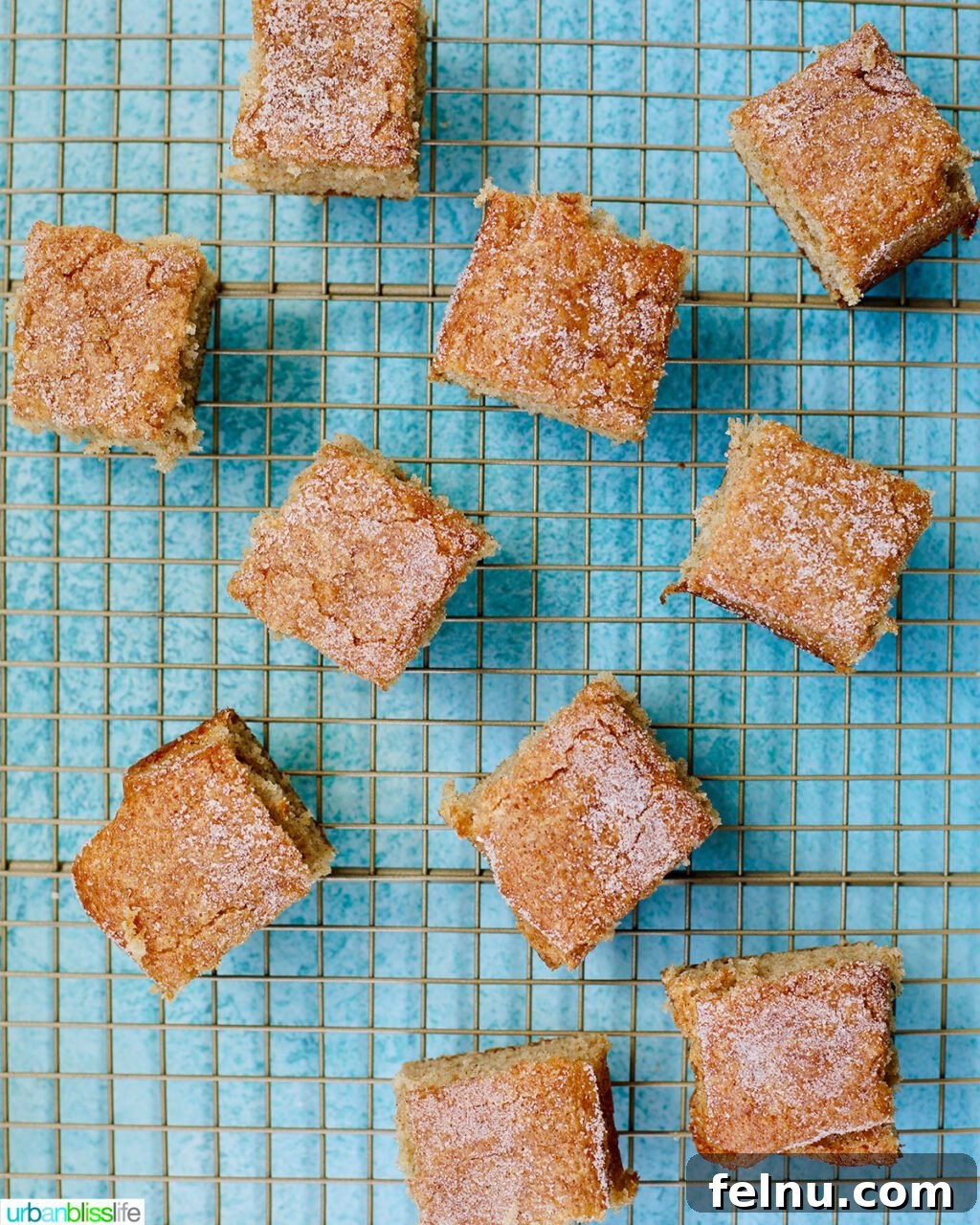 Baking Fundamentals 8 Squares of snickerdoodle snacking cake