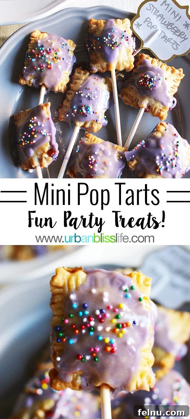 Homemade Mini Pop Tarts