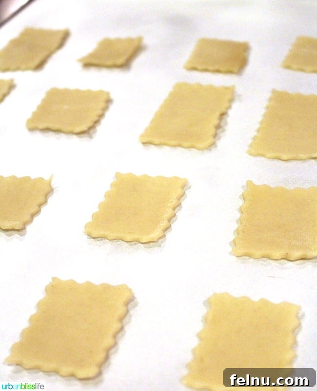 Squares of dough for mini pop tarts