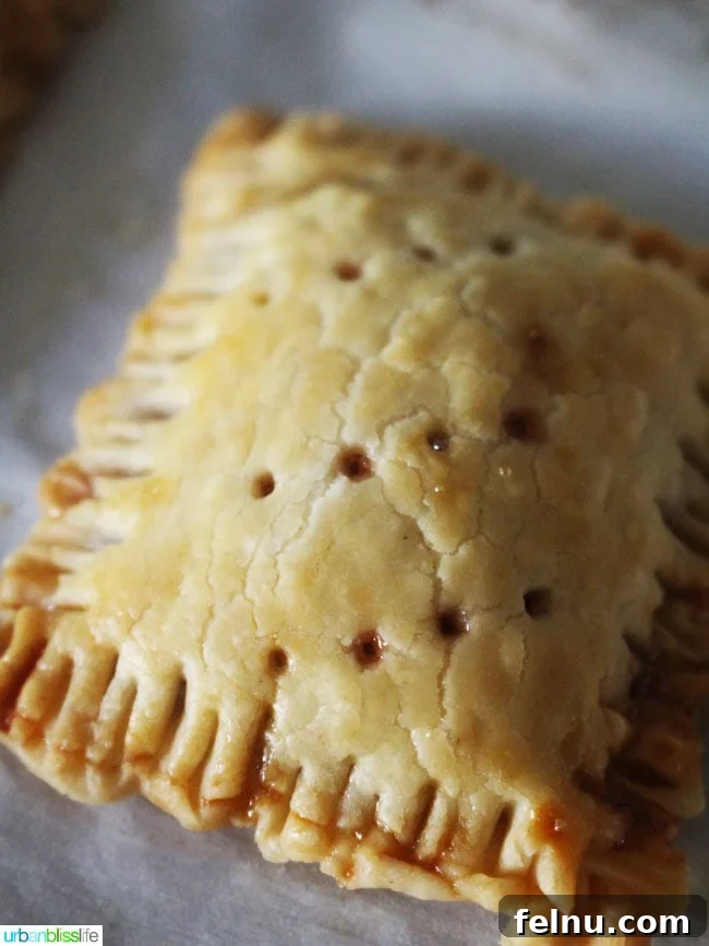 Close up of a single unfrosted mini pop tart