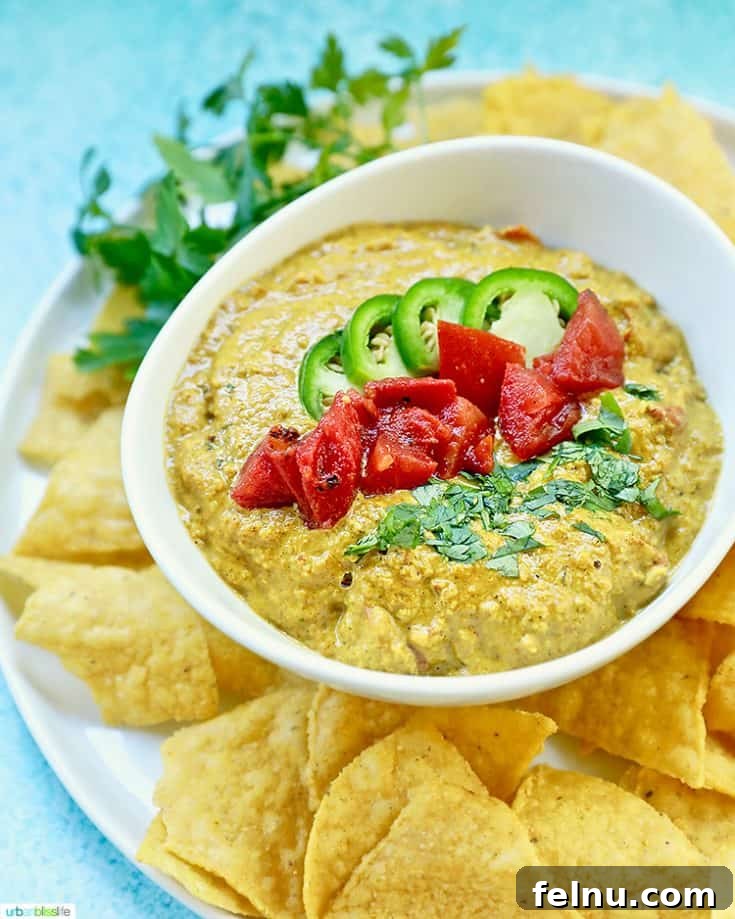 The Ultimate Football Feast: Delicious Finger Foods for Game Day 40 Chunky Cashew Queso Dip (Vegan Queso)