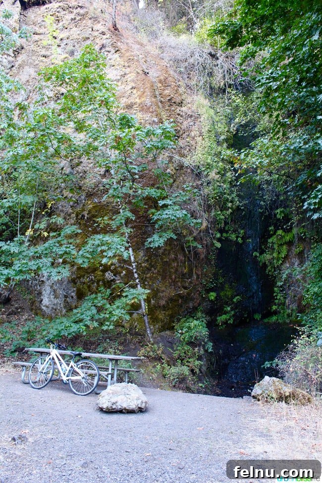 Columbia River Highway State Trail: A Historic Scenic Escape 6 Biking the Historic Columbia River Highway, travel tips on UrbanBlissLife.com