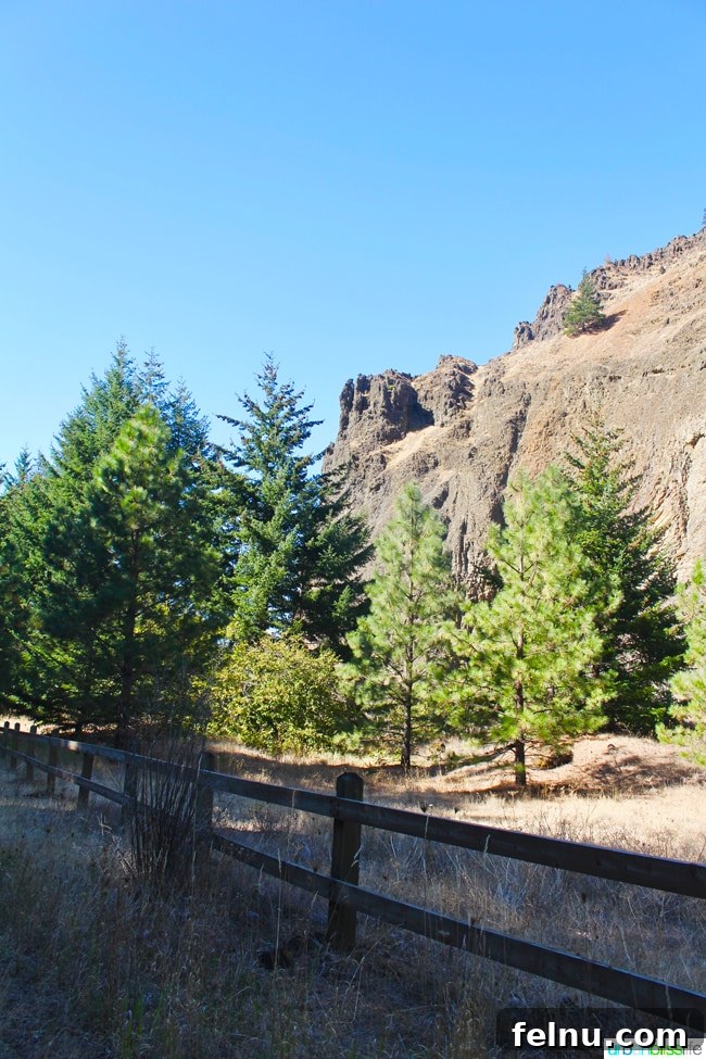 Columbia River Highway State Trail: A Historic Scenic Escape 8 Biking the Historic Columbia River Highway, travel tips on UrbanBlissLife.com