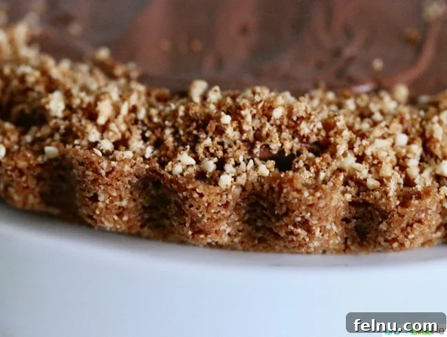 Detailed view of Hazelnut Cookie Crust