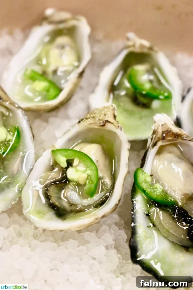 Oysters at TOAST 2017 artisan spirits event in Portland, Oregon