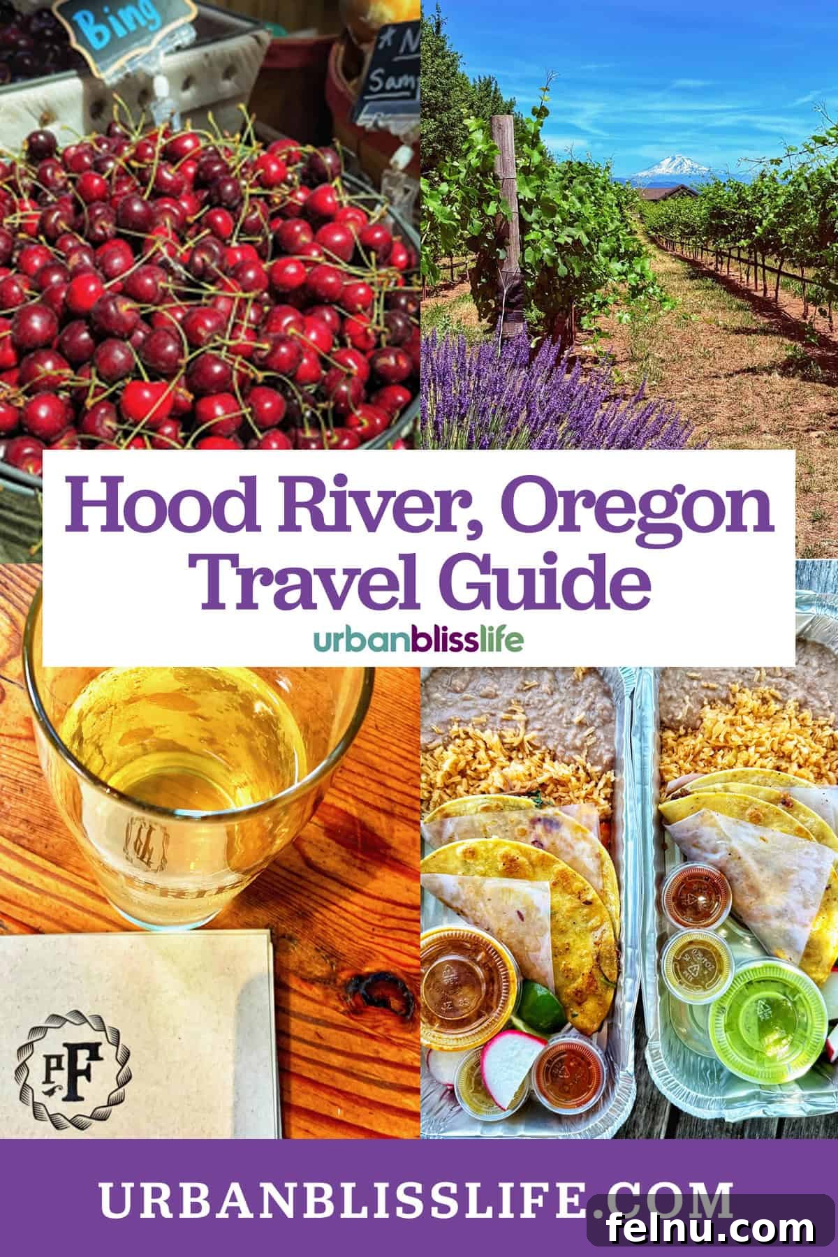 Hood River: Oregon's Adventure Capital 2 A vibrant scenic view of Hood River, Oregon, with mountains, river, and lush greenery.
