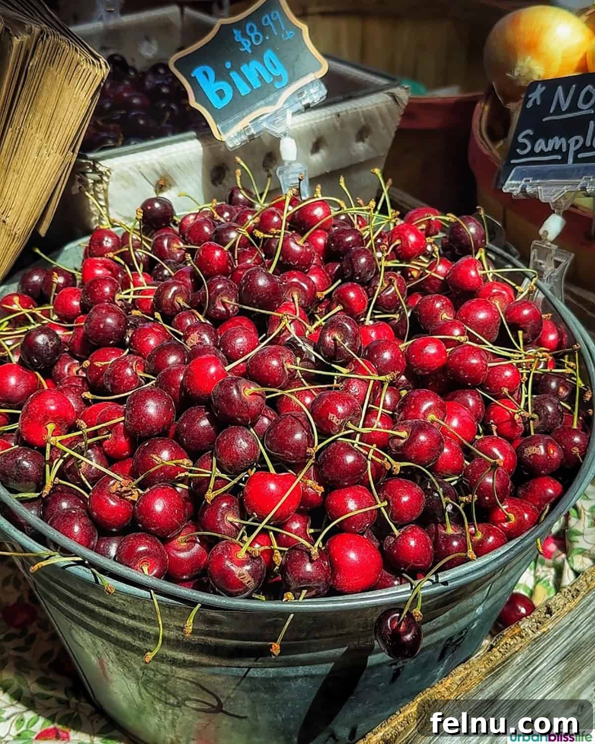 Hood River: Oregon's Adventure Capital 12 A close-up shot of juicy, ripe red cherries, freshly picked and ready to be enjoyed.