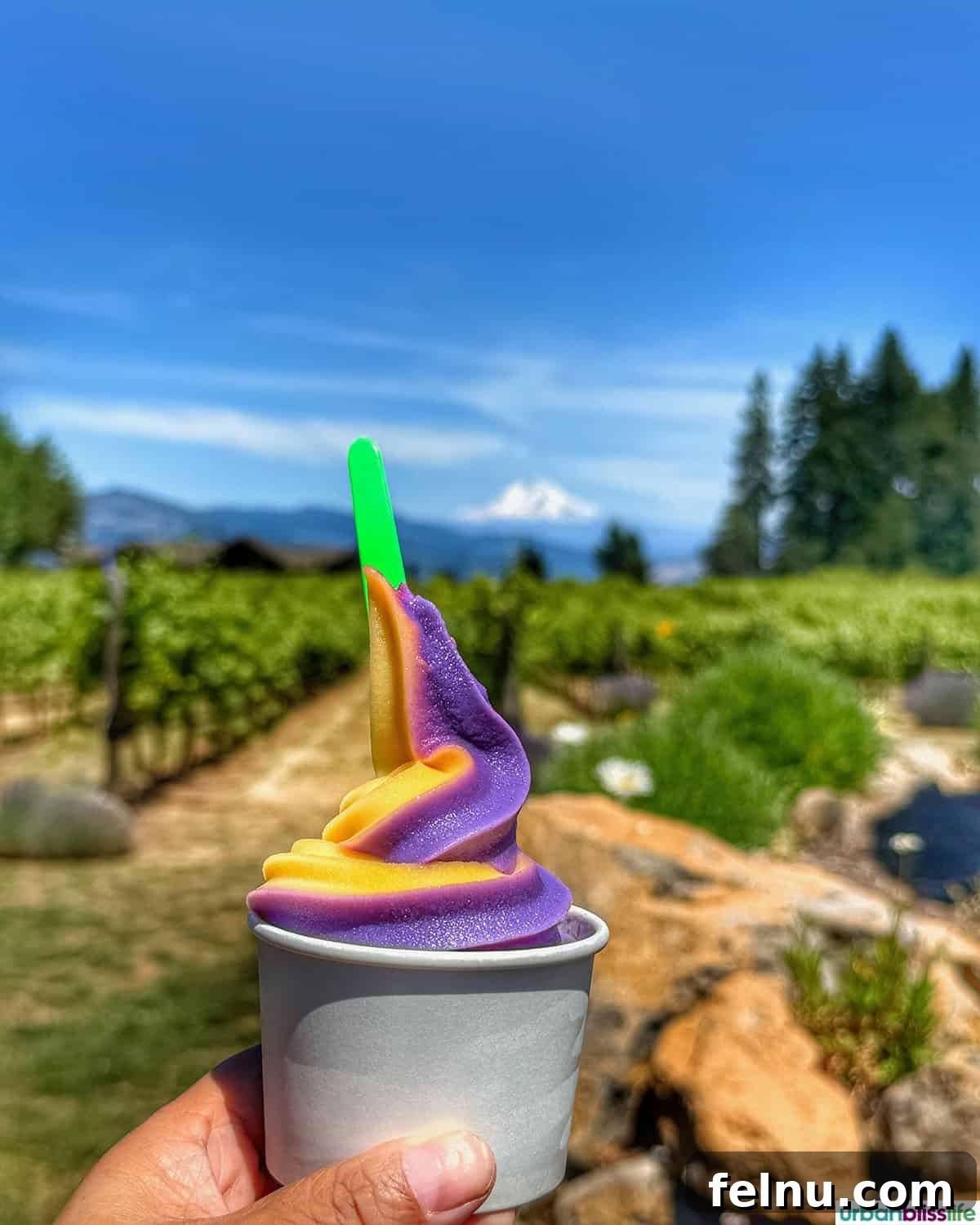 Hood River: Oregon's Adventure Capital 13 A refreshing scoop of ice cream, a perfect treat on a warm day along the Hood River Fruit Loop.