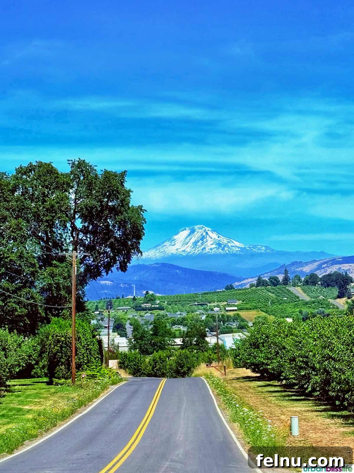 Hood River: Oregon's Adventure Capital 24 A stunning view of a mountain, likely Mount Hood, towering over the landscape near Hood River, Oregon.