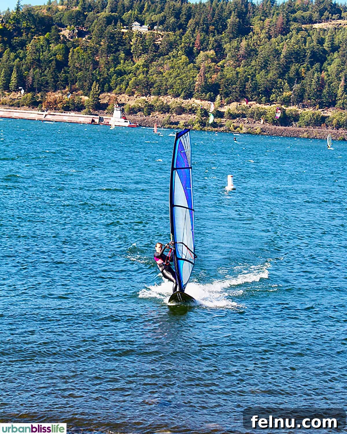 Hood River: Oregon's Adventure Capital 4 Energetic windsurfers cutting through the sparkling Columbia River at Hood River, showcasing the town's famous water sports.