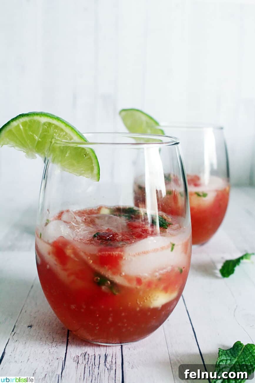 Vibrant Sips: Fruity Cocktail Recipes to Welcome Spring & Summer 14 Fruity cocktail recipes - watermelon mojito