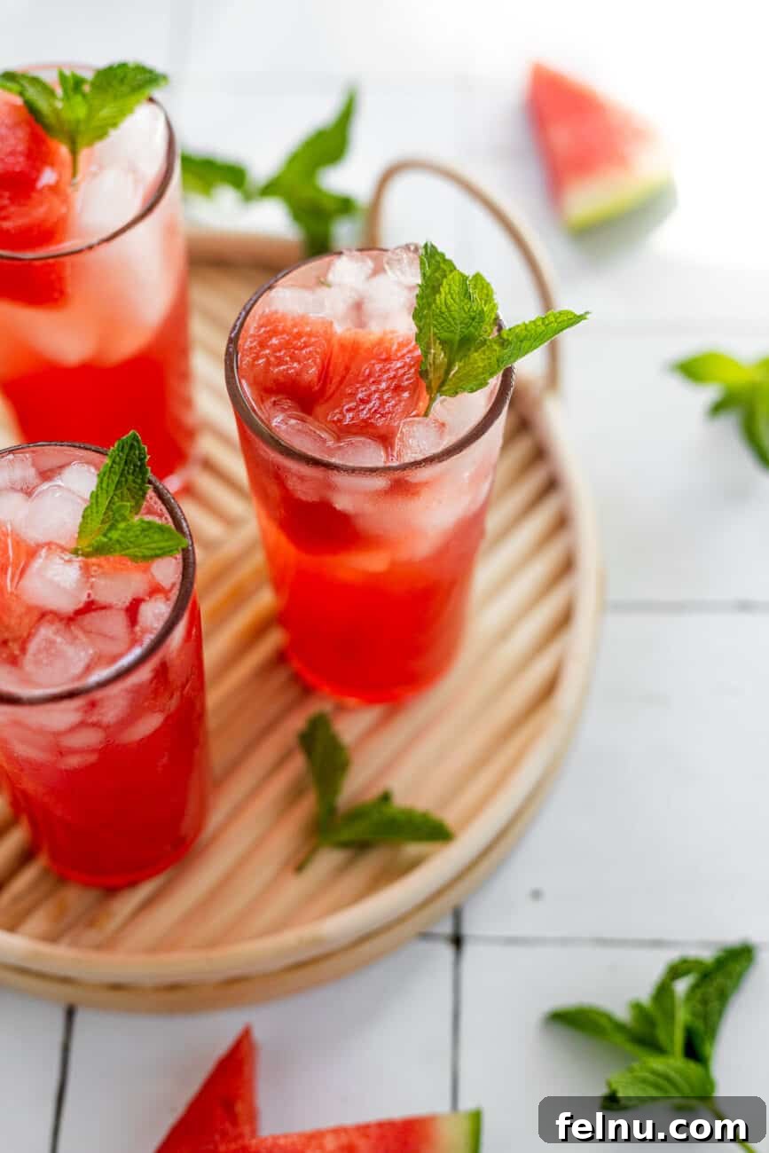 Vibrant Sips: Fruity Cocktail Recipes to Welcome Spring & Summer 16 Watermelon mint cocktail