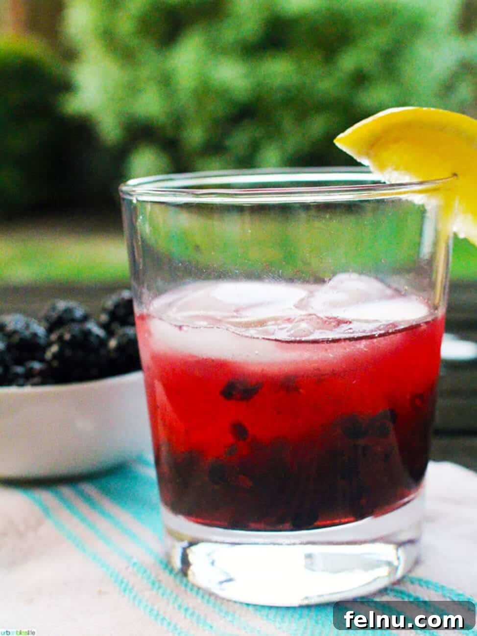 Vibrant Sips: Fruity Cocktail Recipes to Welcome Spring & Summer 4 Marionberry cider crush cocktail