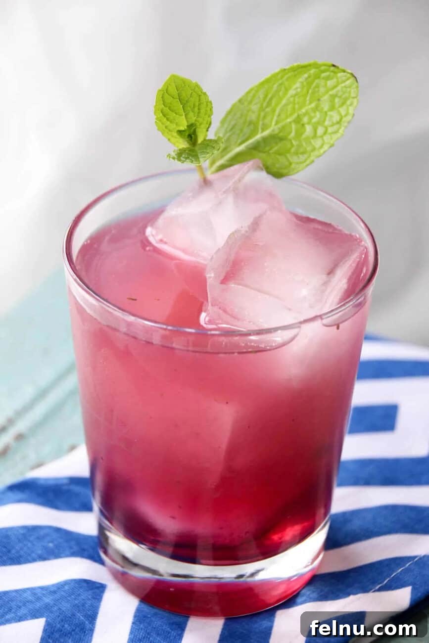 Vibrant Sips: Fruity Cocktail Recipes to Welcome Spring & Summer 6 Blueberry mojito