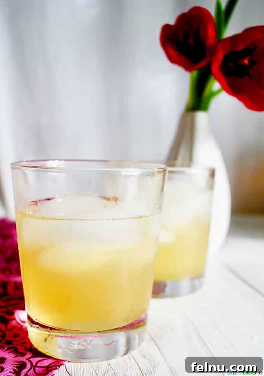 Vibrant Sips: Fruity Cocktail Recipes to Welcome Spring & Summer 10 Bourbon lemon cocktail
