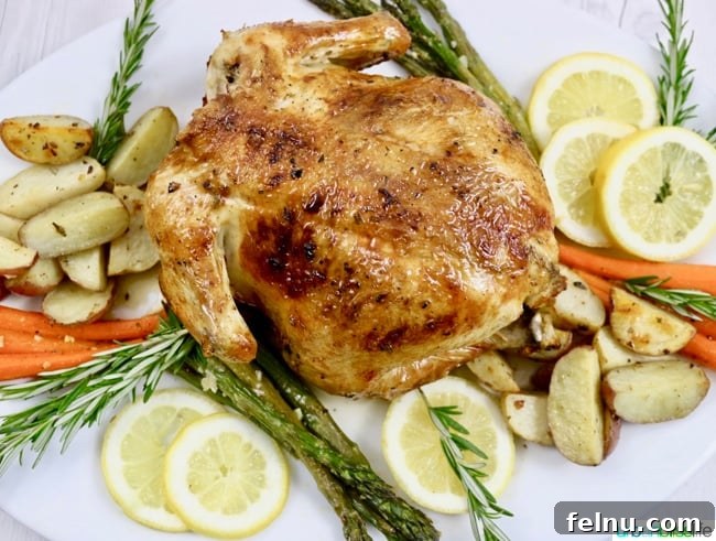 Classic Lemon Herb Roasted Chicken and Veggies 3 Lemon Herb Roasted Chicken close-up